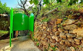 Il Limoneto Di Lulu, Holidays Among The Lemon Trees